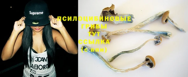дмт Похвистнево