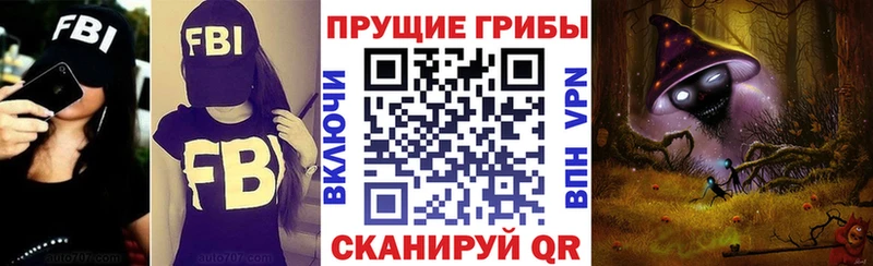 цена наркотик  Задонск  Галлюциногенные грибы прущие грибы 